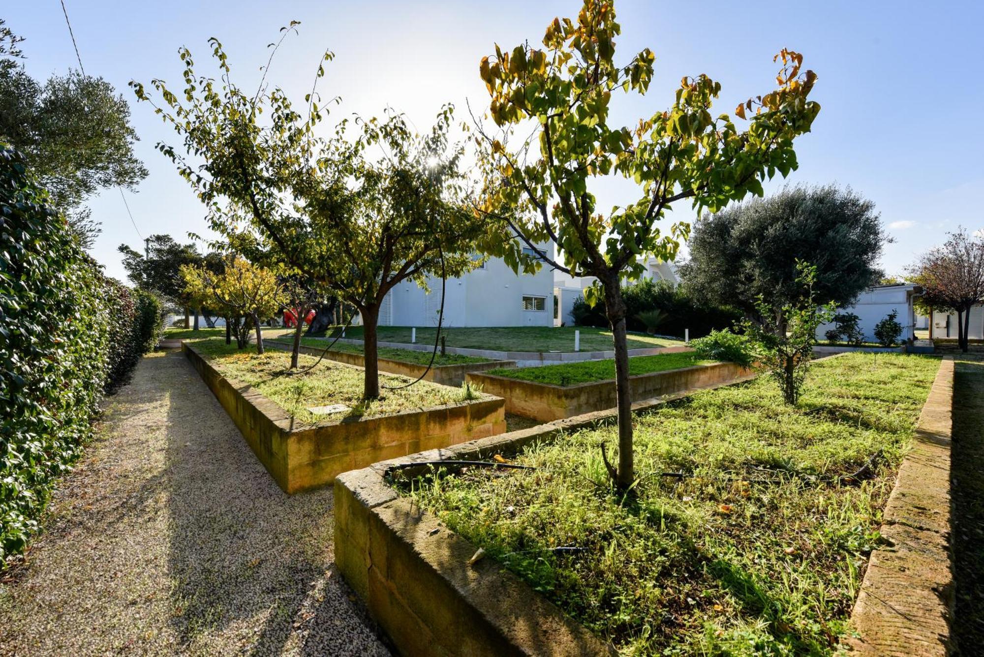 Villa Vinner - Monopoli Zewnętrze zdjęcie