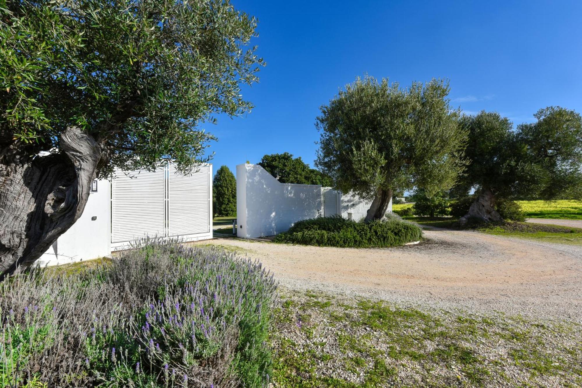 Villa Vinner - Monopoli Zewnętrze zdjęcie
