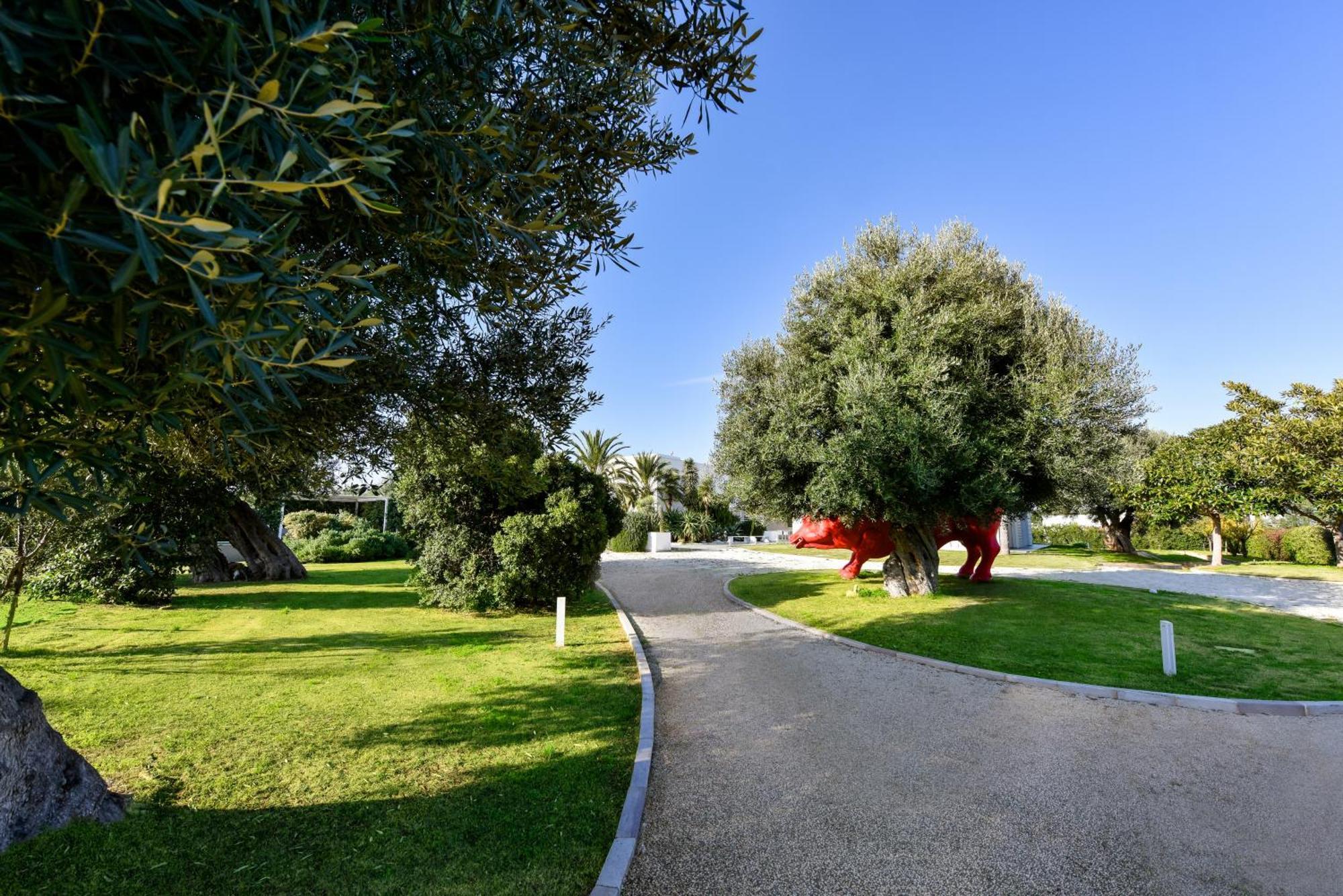 Villa Vinner - Monopoli Zewnętrze zdjęcie